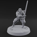 Stance Widened Blade Ready Human Warrior