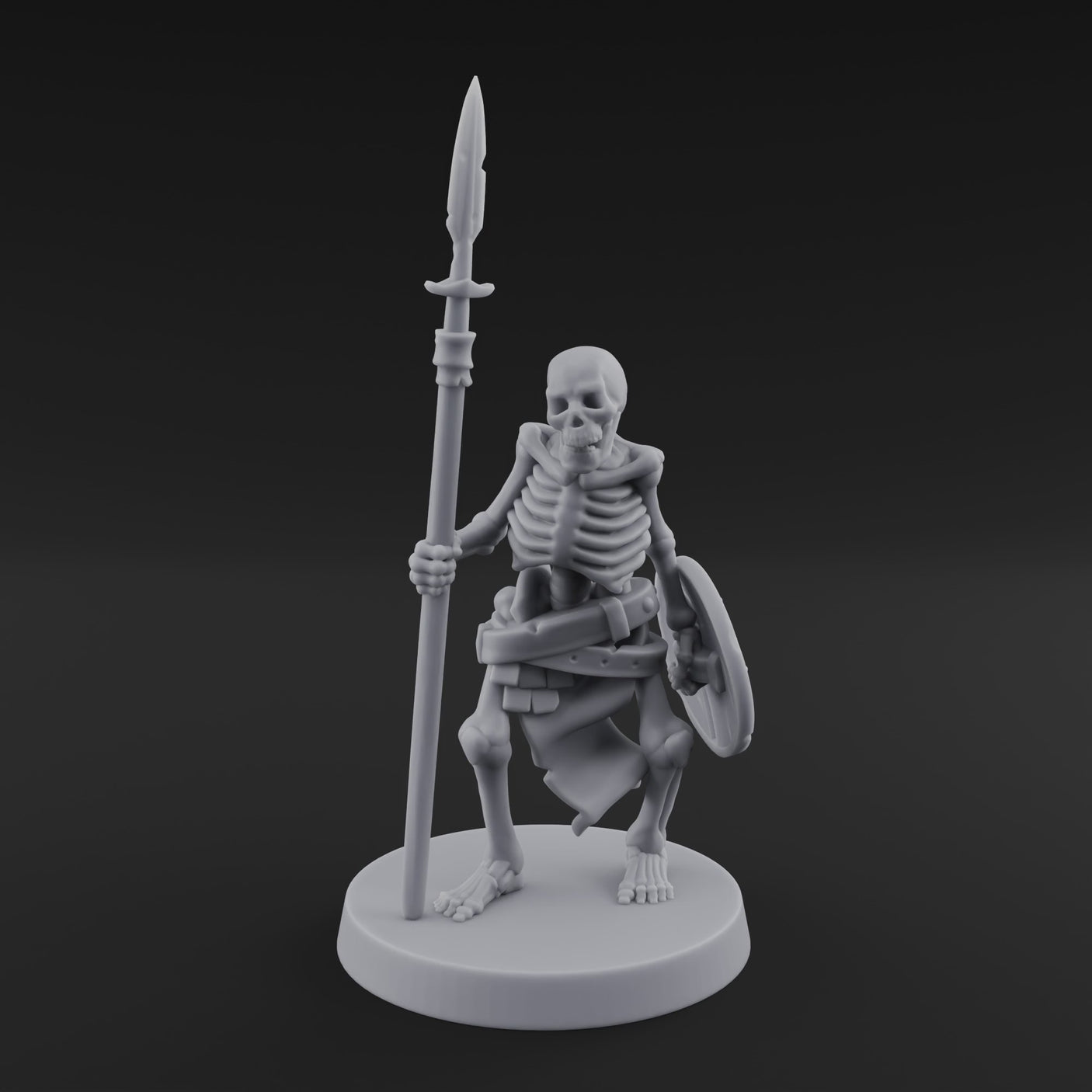 Shield Bearing Sentinel Skeleton Warrior