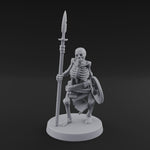 Shield Bearing Sentinel Skeleton Warrior