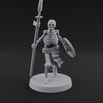 Shield And Spear Standing Skeleton Warrior