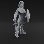 Shield And Blade Ready Human Warrior