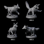 Four Playful Foxes