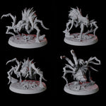 Four Creeping Giant Spiders