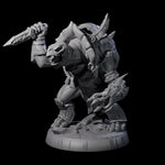 Brave Tortle Warrior B