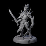 Nefarious Drow Assassin B