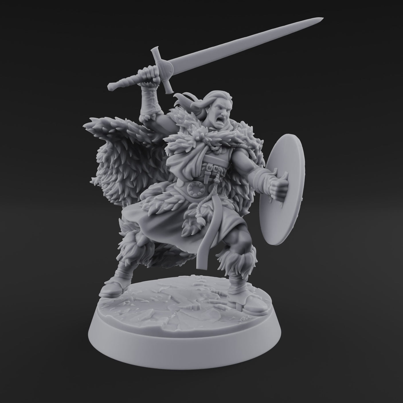 Sword and Board Northman Fighter