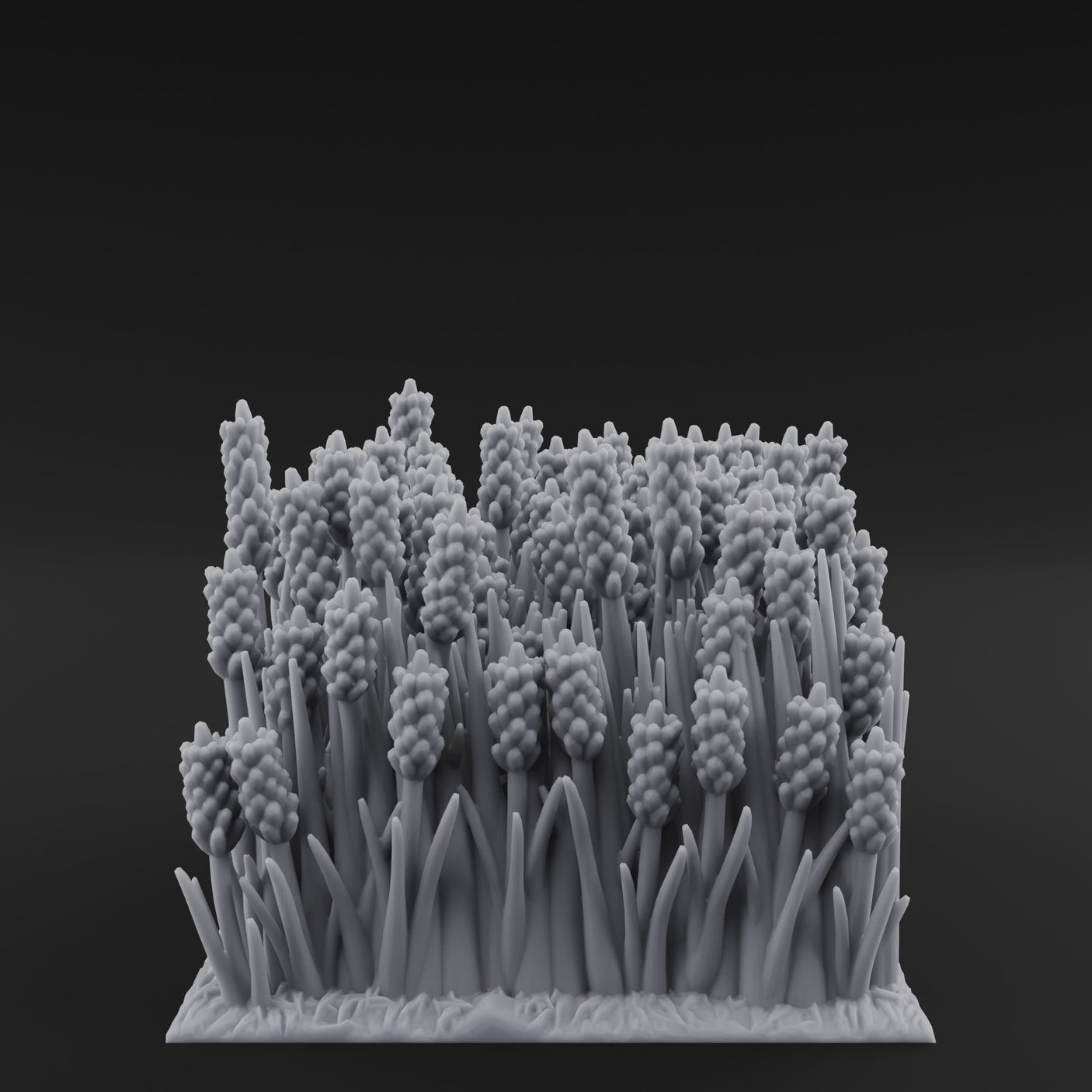 Cultivated Wildflower Meadows C
