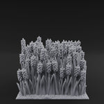 Cultivated Wildflower Meadows C
