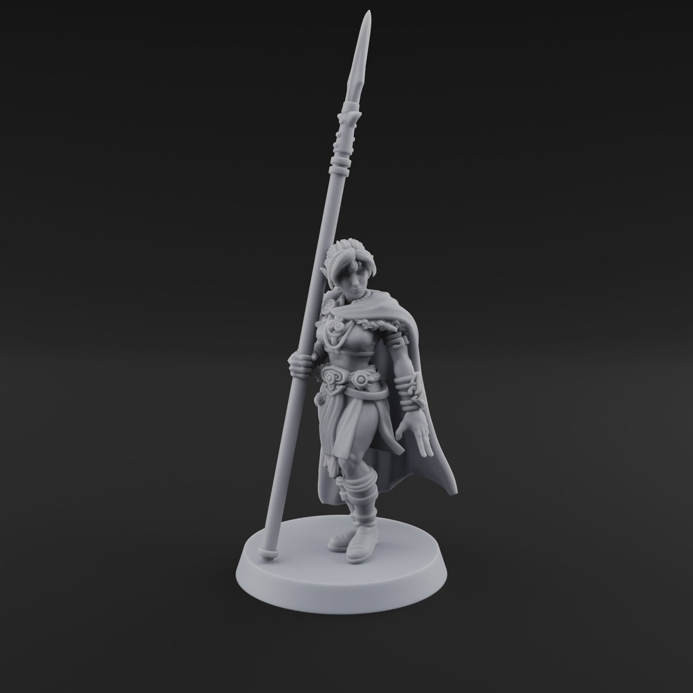 Spear Warden Elf Warriors D
