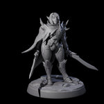 Nefarious Drow Assassin D