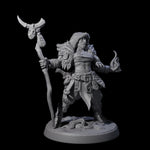 Cunning Northmen Rogues and Wizard D