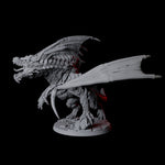 Chromatic Dragon B