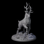 Noble Giant Elk C