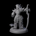 High Elf General