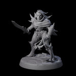 Nefarious Drow Assassin F