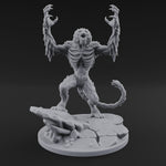 Snarling On Stone Barghest Beasts B
