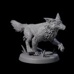 Playful Fox A