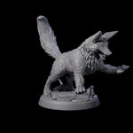 Playful Fox B