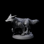Playful Fox D