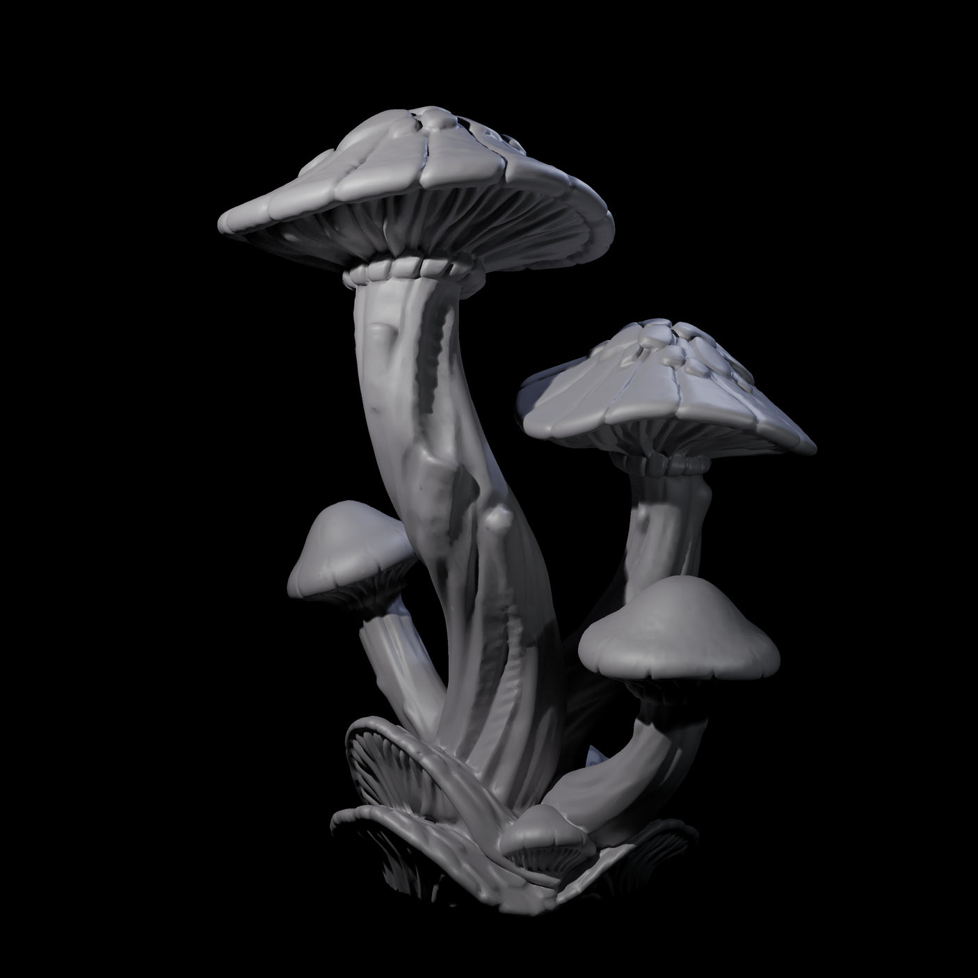 Spongy Fungus Small
