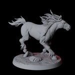Galloping Wild Horse B