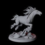 Galloping Wild Horse D