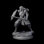 Sword and Board Fighter