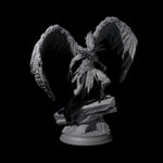 Beautiful Harpy