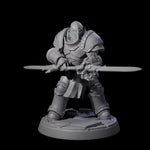 Determined Paladin Warrior B