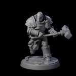 Determined Paladin Warrior D