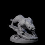 Slinking Panther A