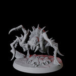 Creeping Giant Spider C
