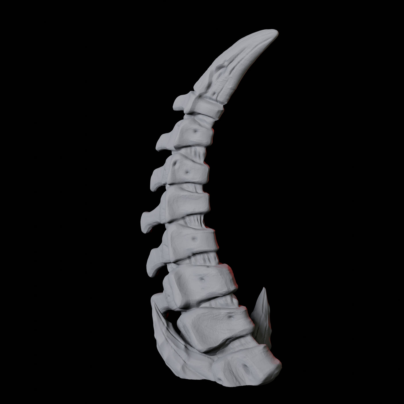 Imposing Bone Spire B