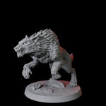 Stalking Wolf A