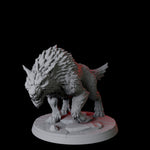 Stalking Wolf B