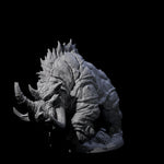 Tundra Rhino C