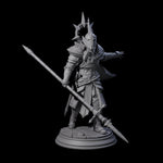 Polearm Paladin