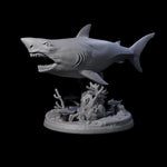 Toothy Giant Shark B