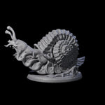 Sluggish Giant Snail A