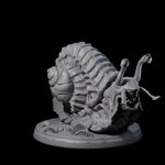 Sluggish Giant Snail D