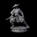 Wandering Ronin