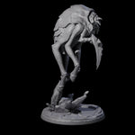 Stalking Underdark Ankheg A