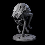Stalking Underdark Ankheg B