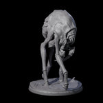 Stalking Underdark Ankheg C