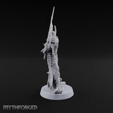 Madness With Good Posture Wraith Sword Warrior B