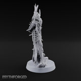 Madness With Good Posture Wraith Sword Warrior C