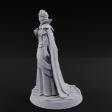 Shrieking Mad Human Queen Miniature for Dungeons and Dragons, Pathfinder or other TTRPGs