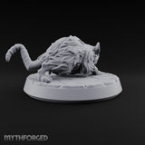 Gutter Gnawers Out Early Giant Rat B