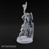 Wings on Every Brow Elf Regal Guard C — Axe & Shield