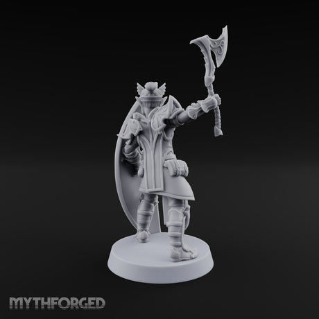 Wings on Every Brow Elf Regal Guard C — Axe & Shield